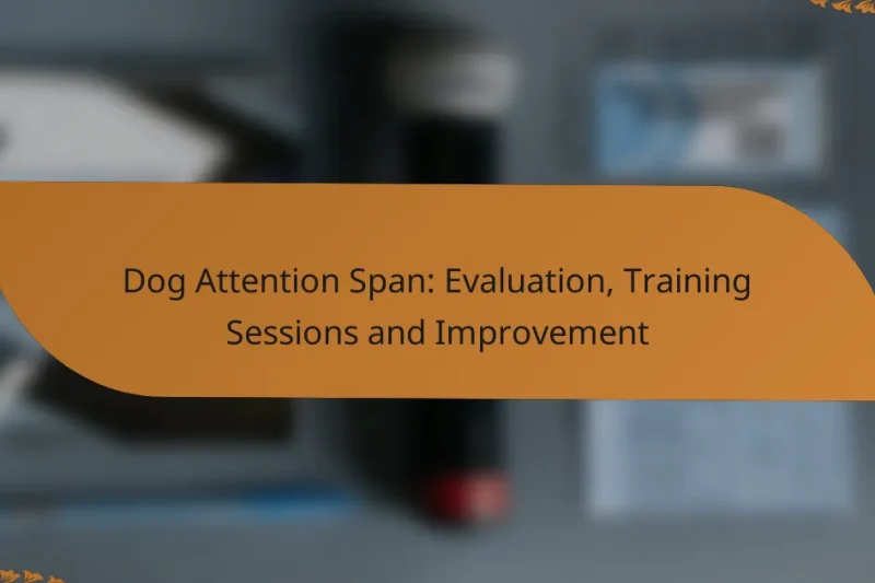 Dog Attention Span: Evaluation, Training Sessions and Improvement