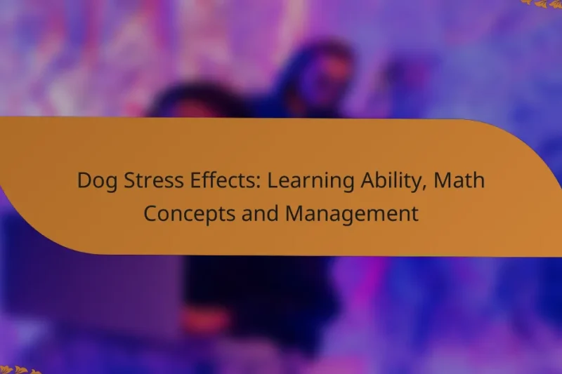Dog Stress Effects: Learning Ability, Math Concepts and Management