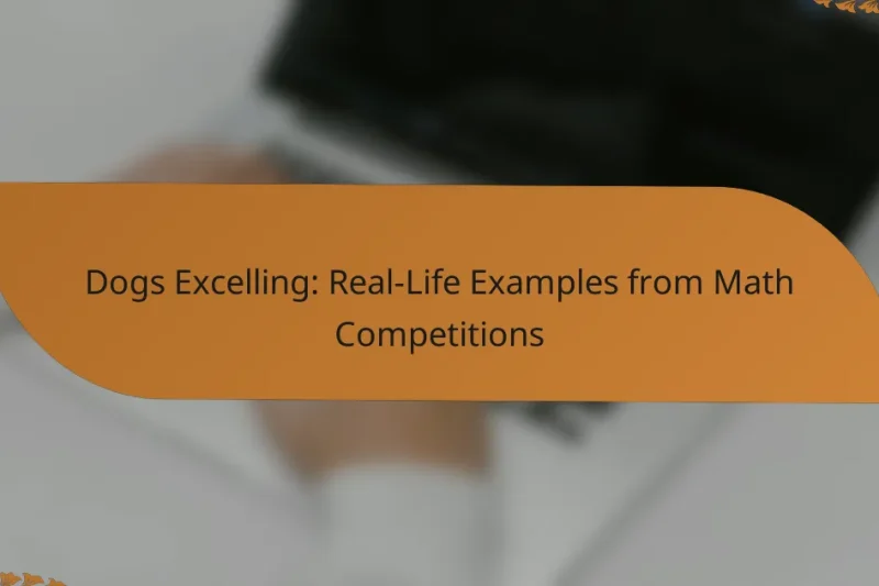 Dogs Excelling: Real-Life Examples from Math Competitions