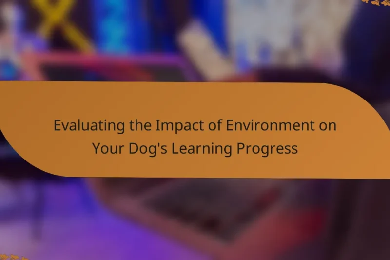 Evaluating the Impact of Environment on Your Dog’s Learning Progress