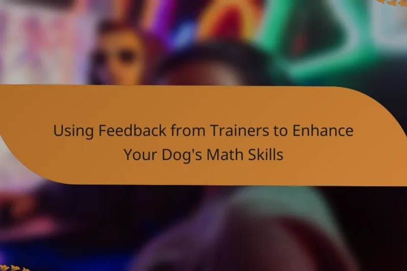 Using Feedback from Trainers to Enhance Your Dog’s Math Skills