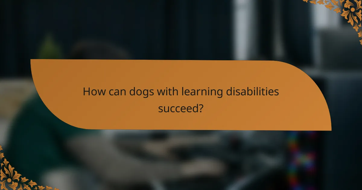 How can dogs with learning disabilities succeed?