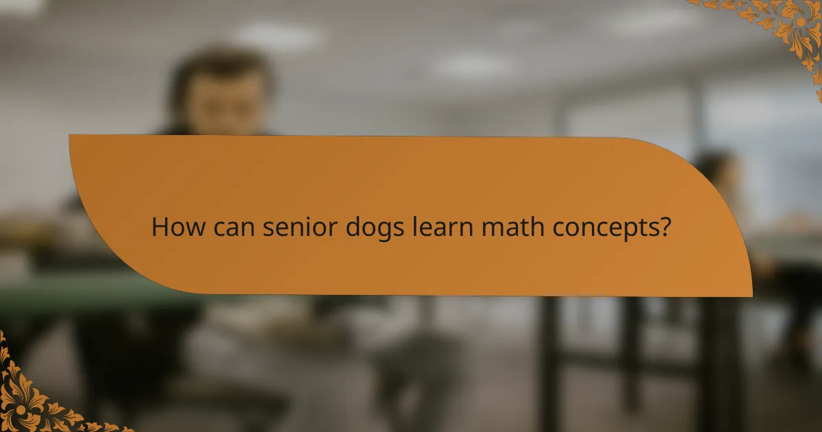 How can senior dogs learn math concepts?