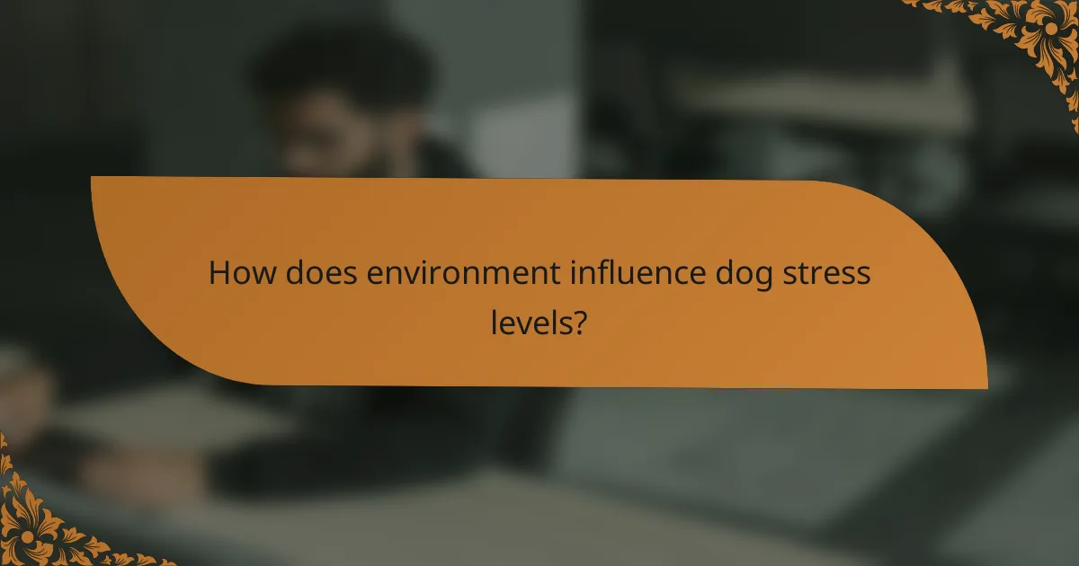 How does environment influence dog stress levels?