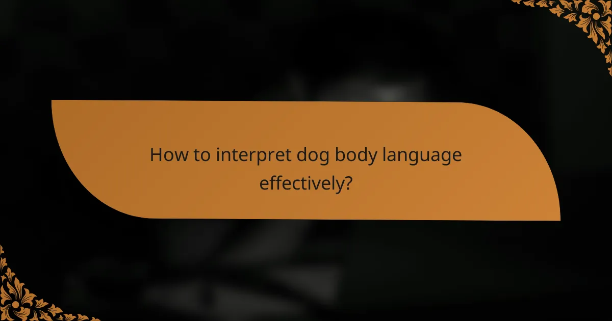 How to interpret dog body language effectively?