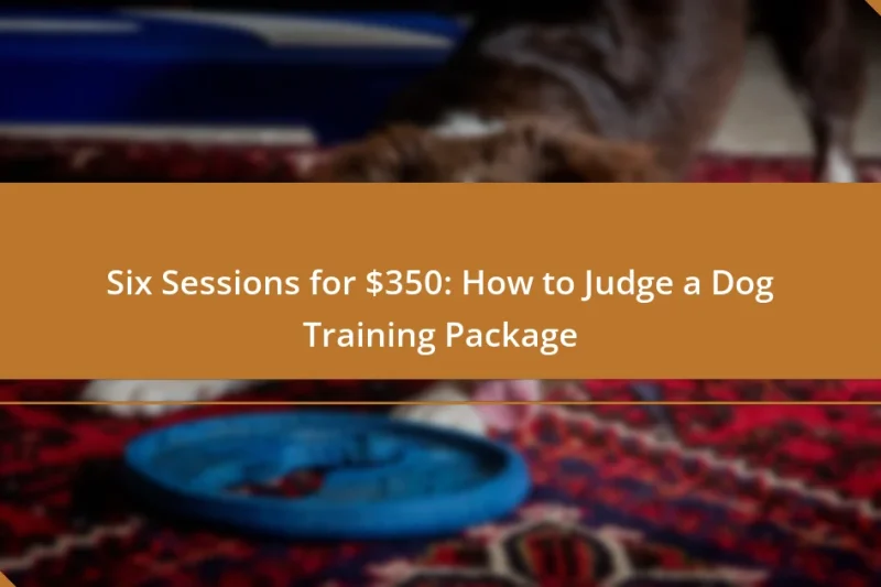 Six Sessions for $350: How to Judge a Dog Training Package