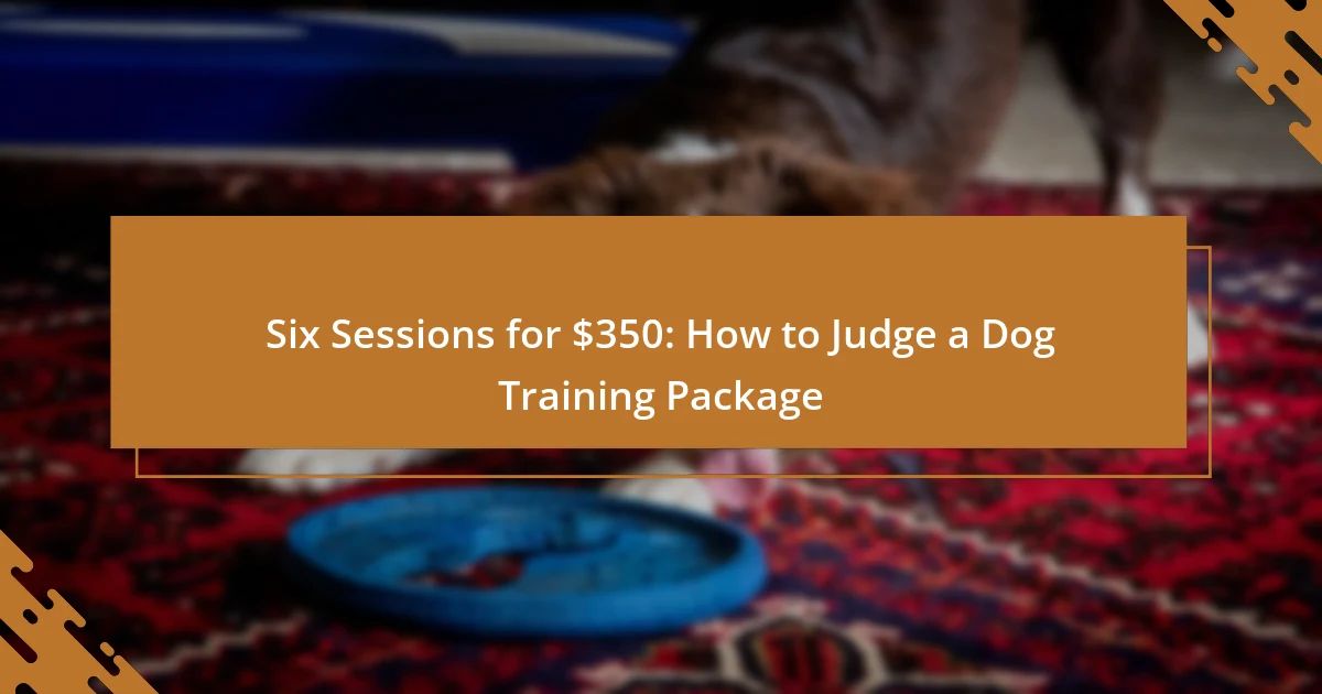 Six Sessions for $350: How to Judge a Dog Training Package