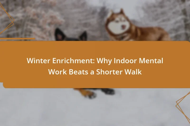 Winter Enrichment: Why Indoor Mental Work Beats a Shorter Walk