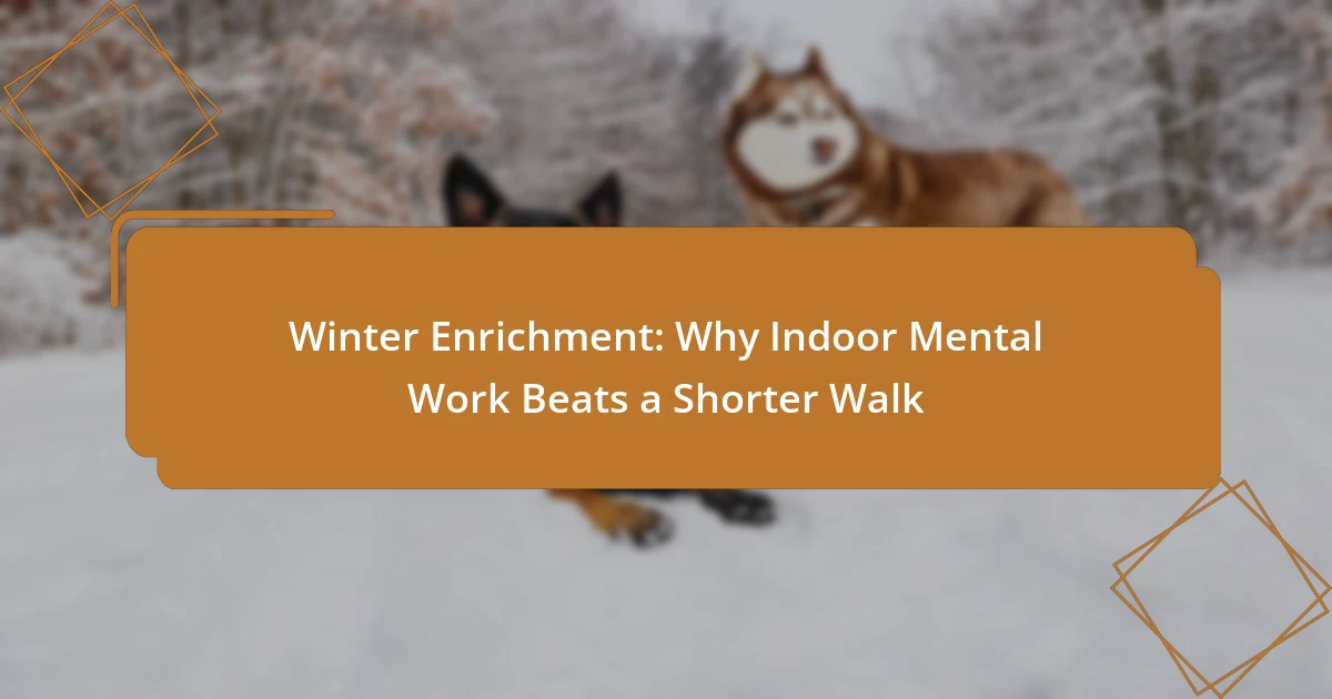 Winter Enrichment: Why Indoor Mental Work Beats a Shorter Walk