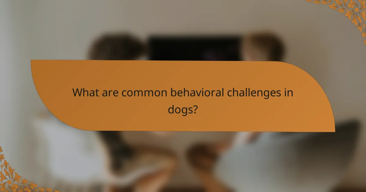 What are common behavioral challenges in dogs?