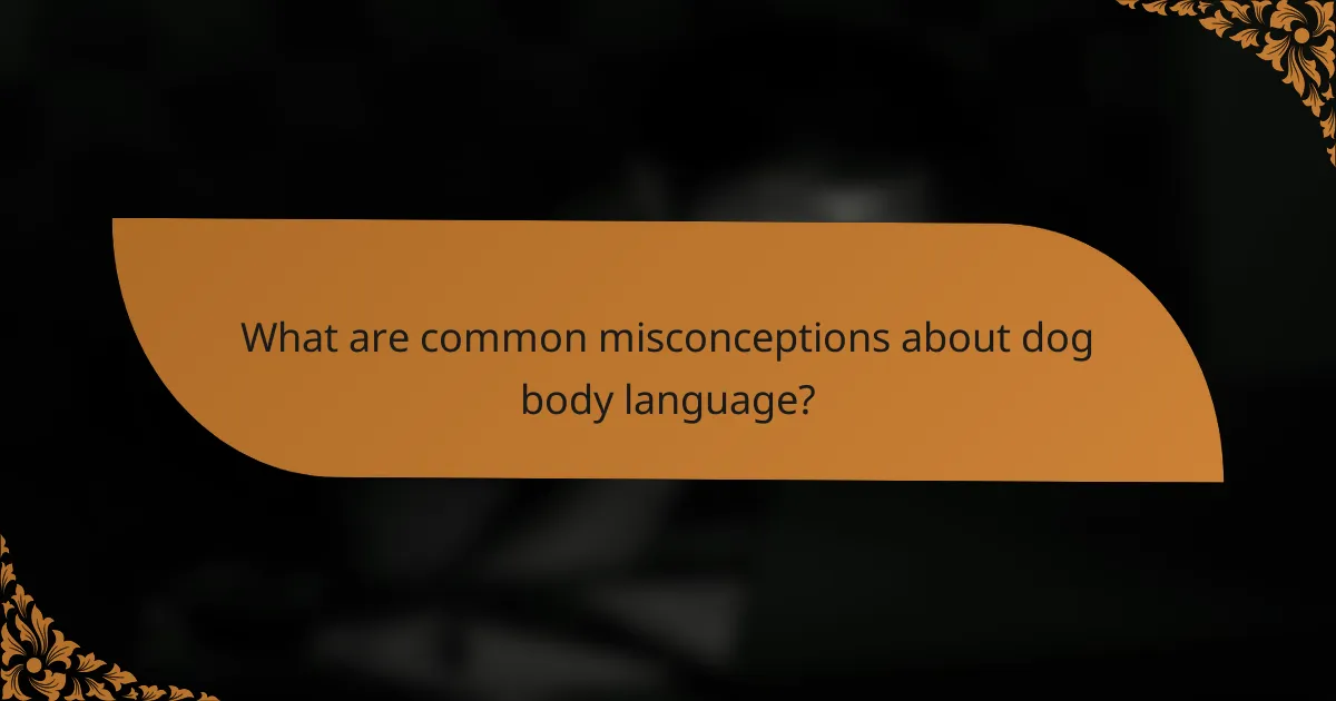 What are common misconceptions about dog body language?