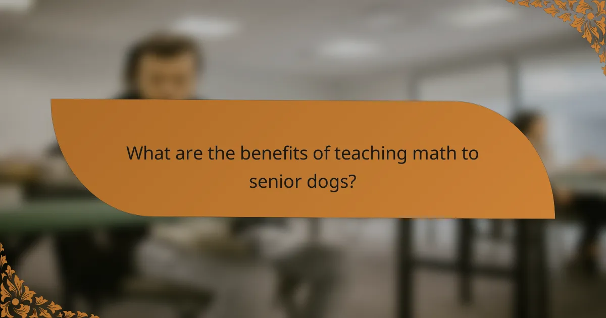 What are the benefits of teaching math to senior dogs?