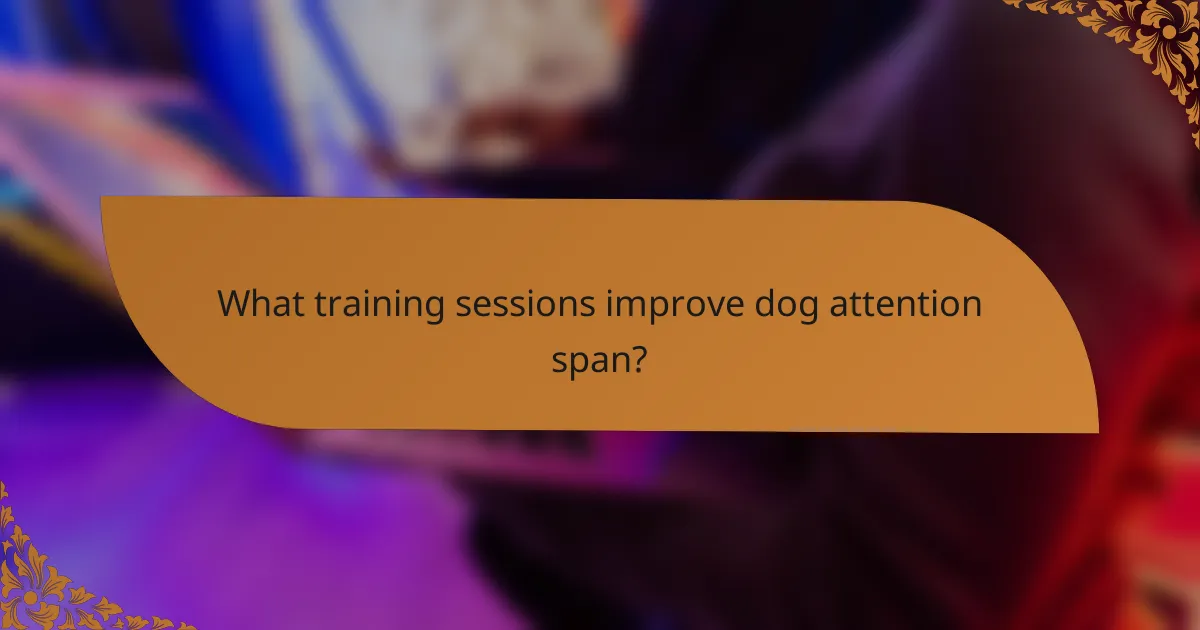 What training sessions improve dog attention span?